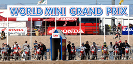 World Mini Grand Prix